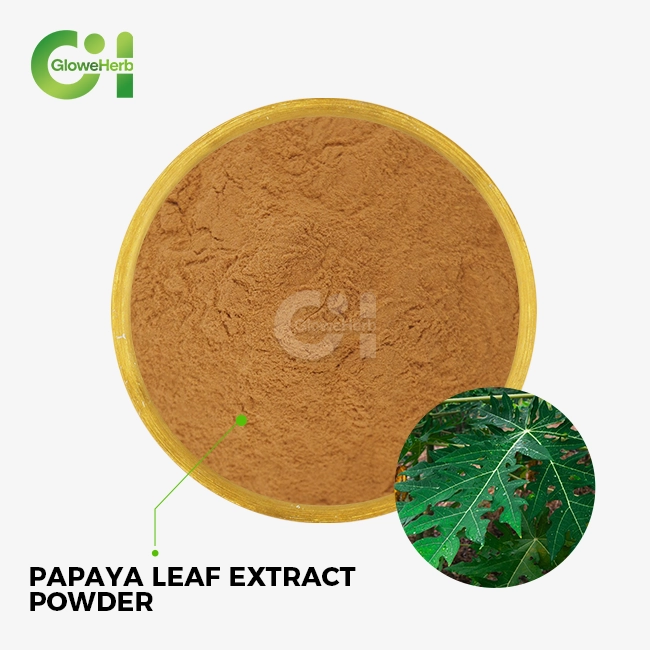 papaya leaf extract powder